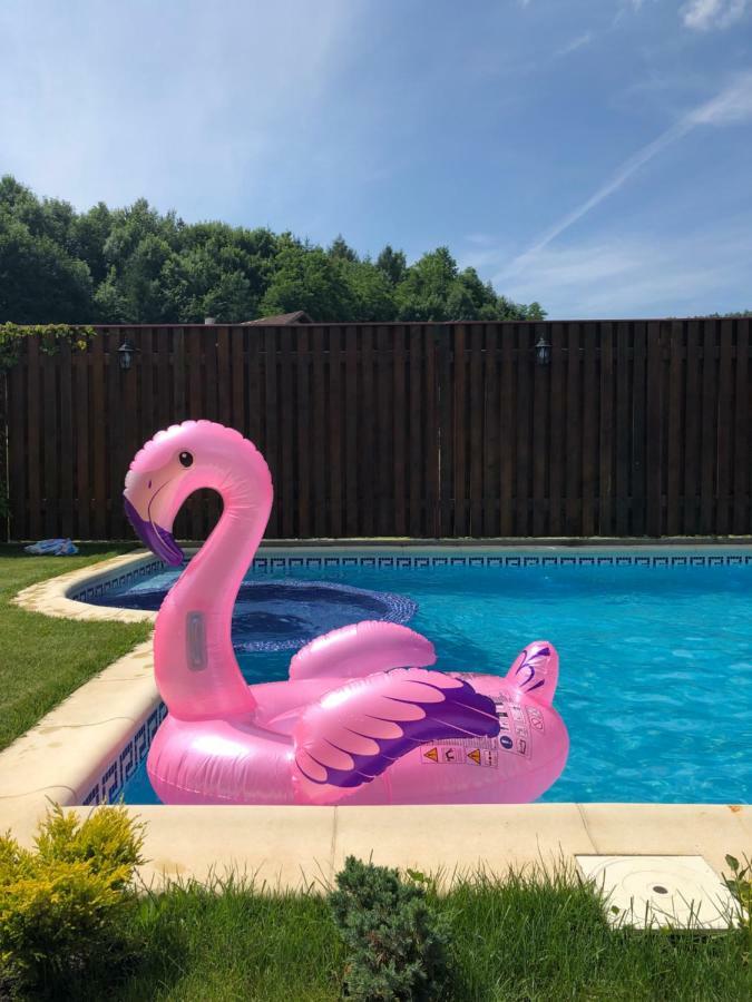 Vila Luminita Singeorz-Bai Exteriör bild